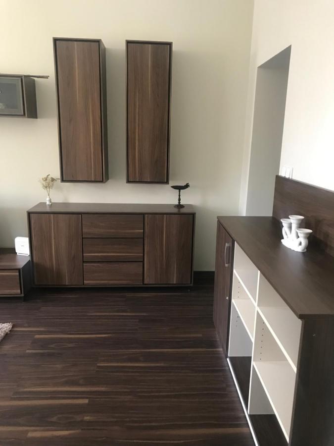 Apartman U Kolonady Karlovy Vary Ngoại thất bức ảnh